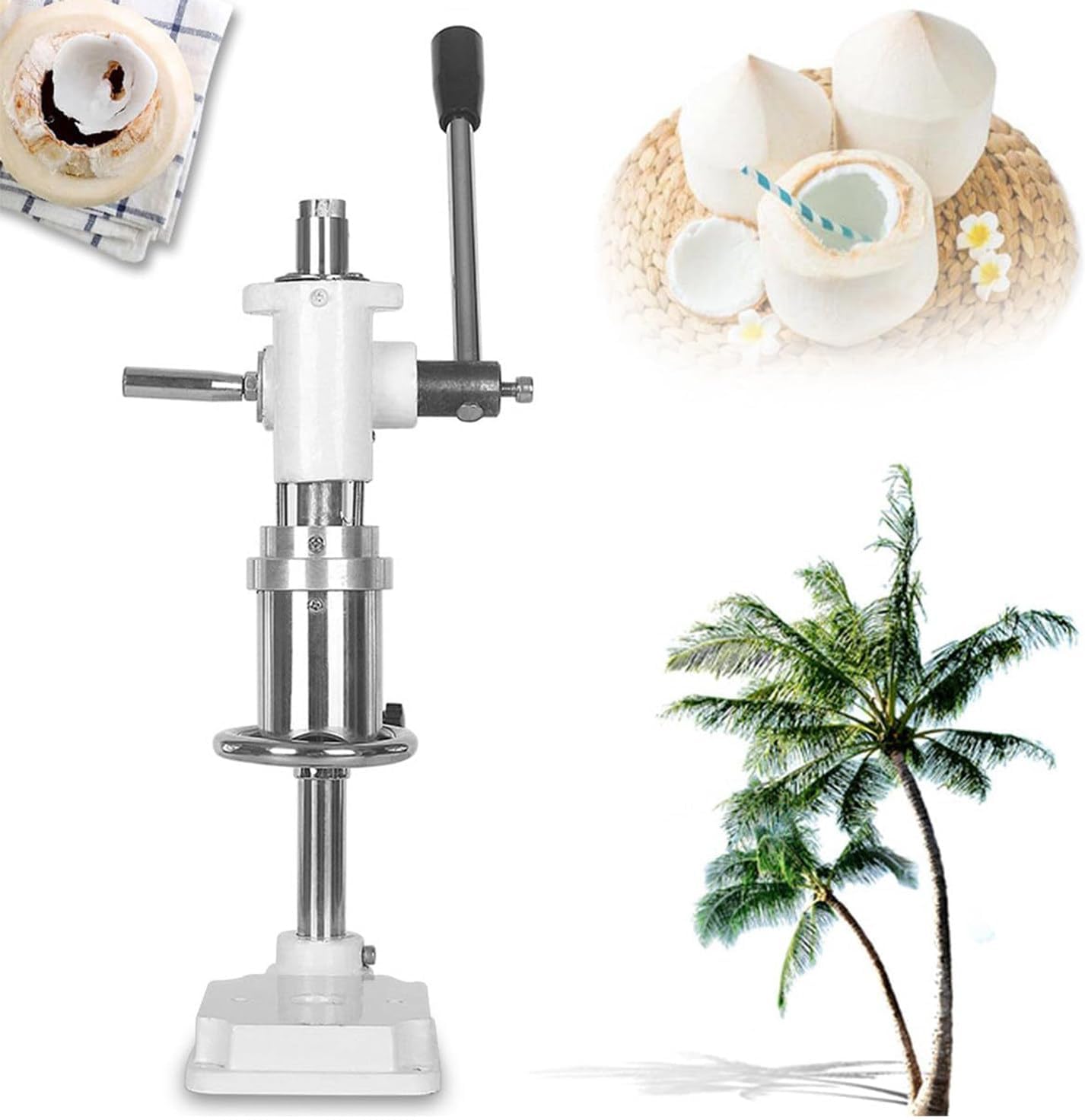 南部鉄器 鈴木盛久造 模中尊寺国宝 天蓋 茶托 五客 共箱 M R5872